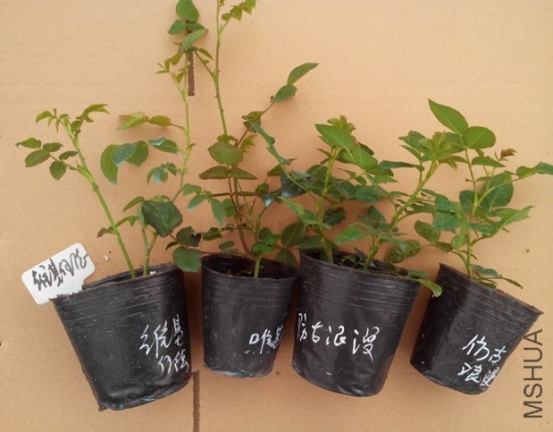 QQ��ͼ20140515213615.jpg