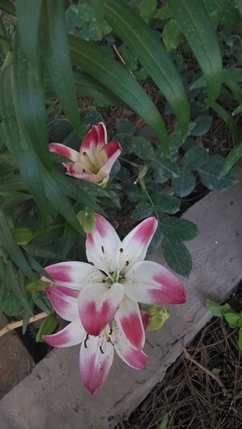 IMG_20140514_070719.jpg
