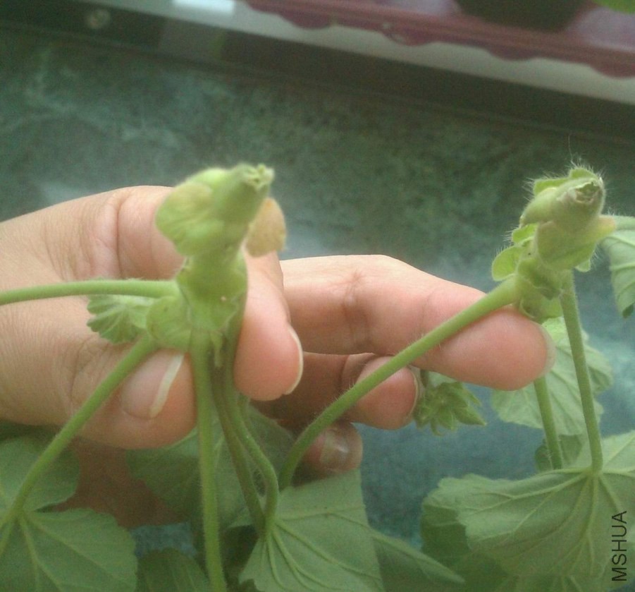 IMAG0576.jpg