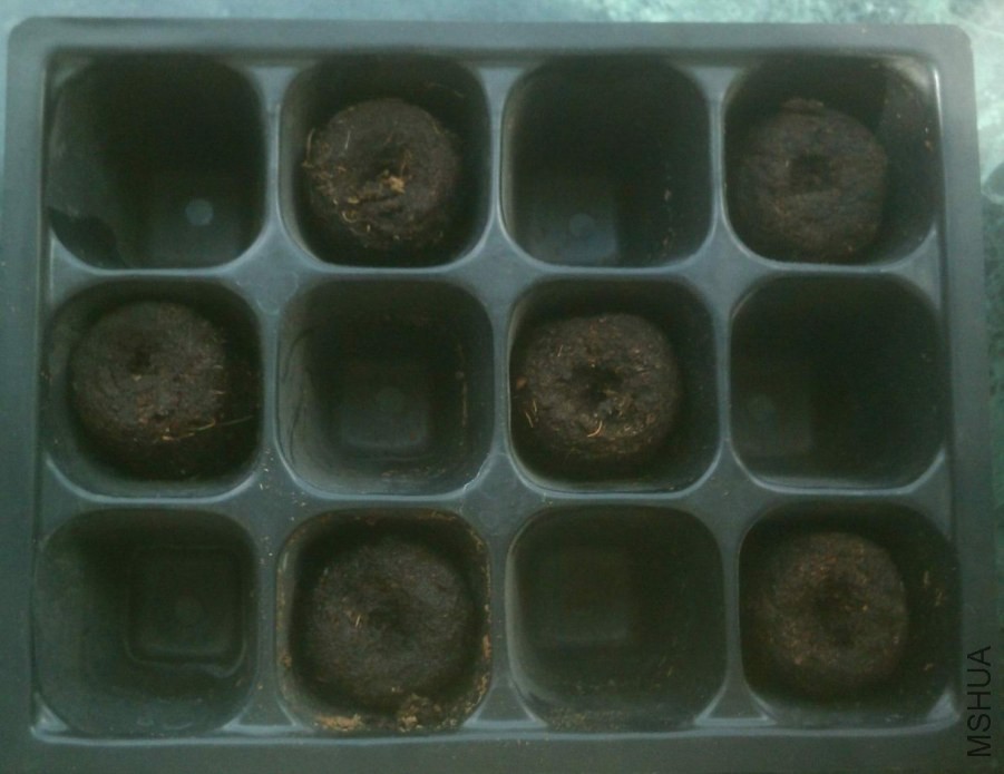 IMAG0577.jpg