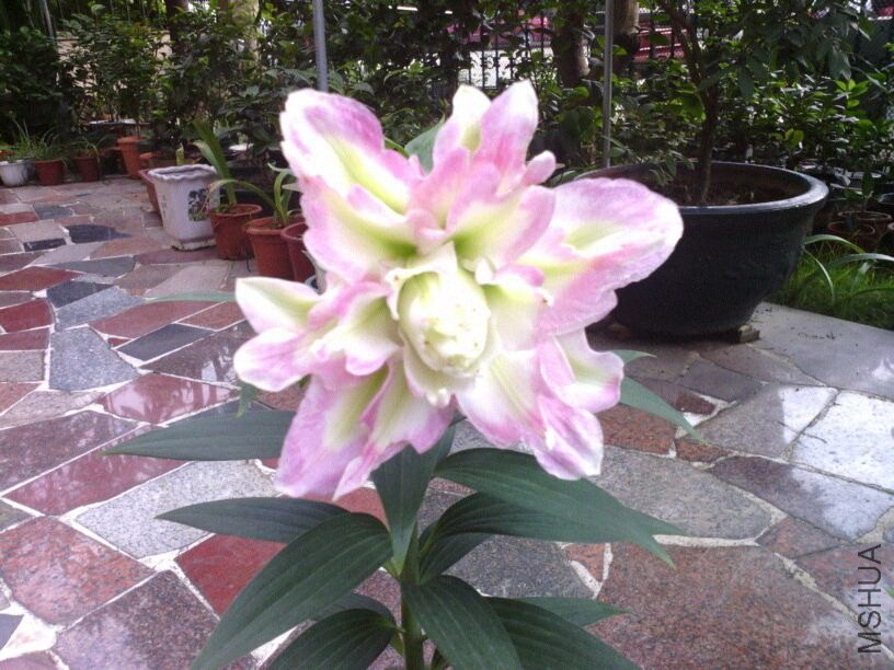 �ٺ� - �ذ��@ϲ.jpg