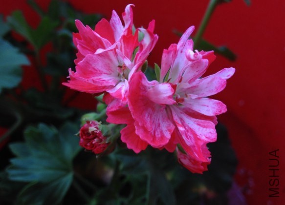 QQͼƬ20140416093423.jpg
