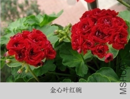 QQͼƬ20140329213201.jpg