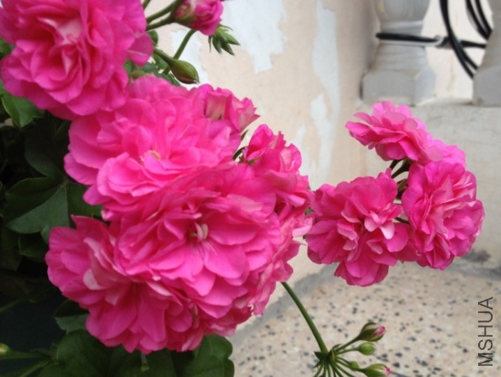 QQͼƬ20140515121535.jpg