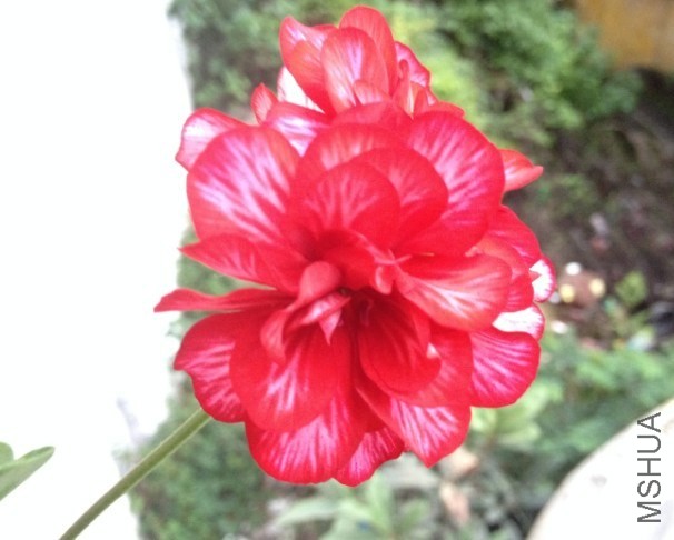 QQͼƬ20140515121546.jpg