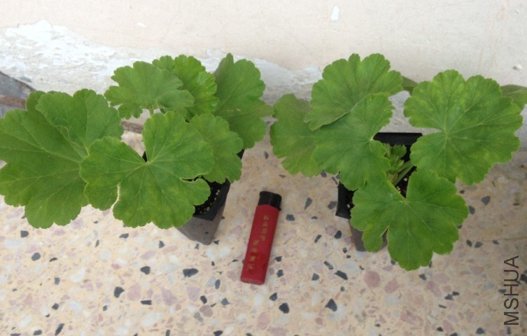 QQͼƬ20140511190233.jpg