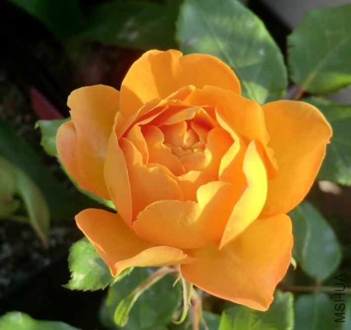 QQͼƬ20140508192628.jpg