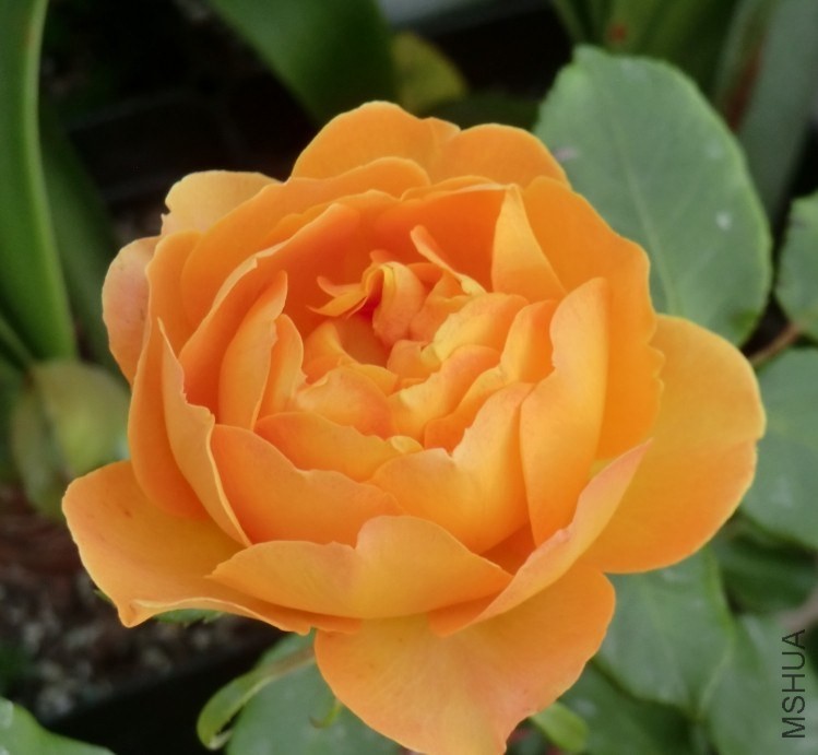 QQͼƬ20140508194044.jpg