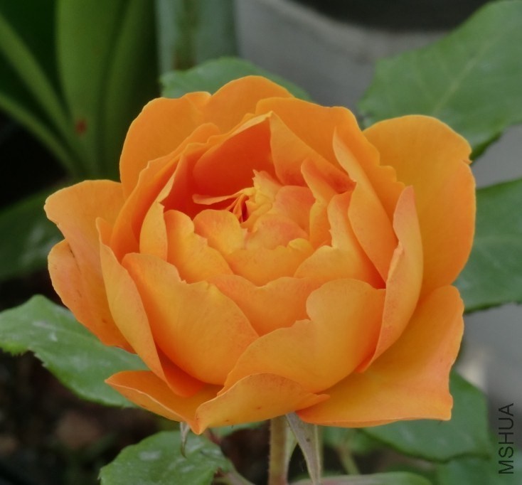 QQͼƬ20140508193250.jpg