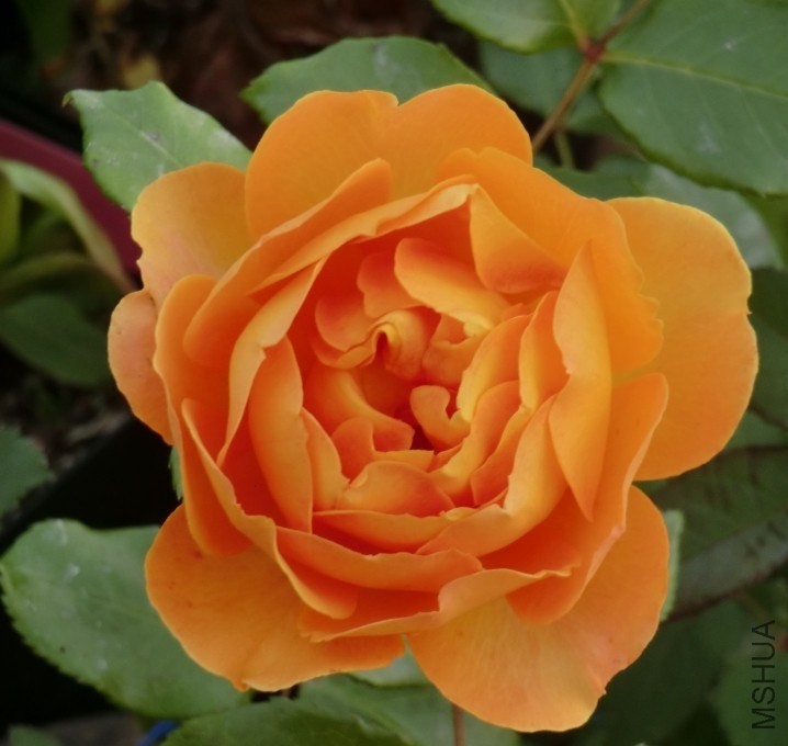QQͼƬ20140508194059.jpg