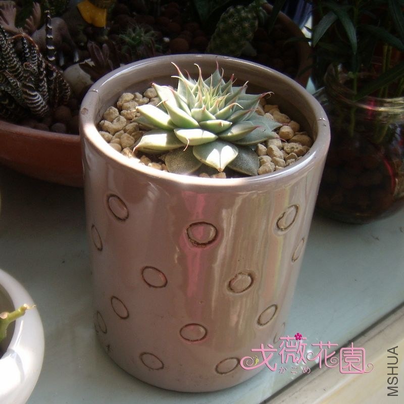 ������ʱ��