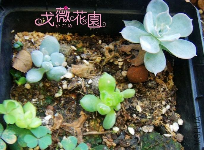 ��Ǥ���ʱ��