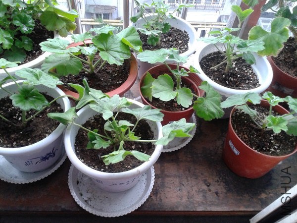 2014-05-11 08.06.54_����.jpg