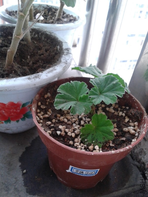 2014-05-16 16.47.15_����.jpg