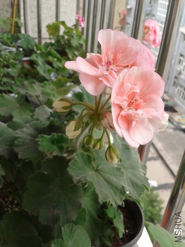 2014-05-16 16.46.47_����.jpg