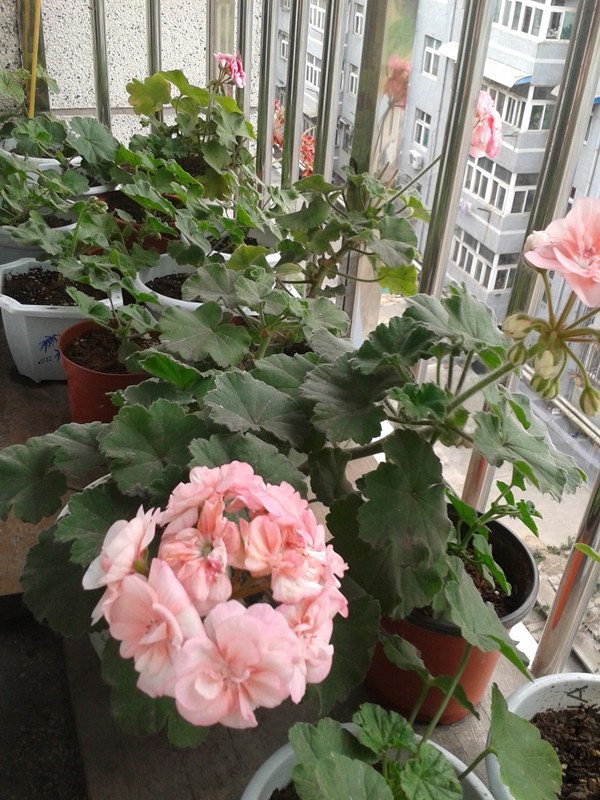 2014-05-16 16.46.58_����.jpg