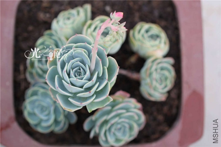 20140428 (12).JPG