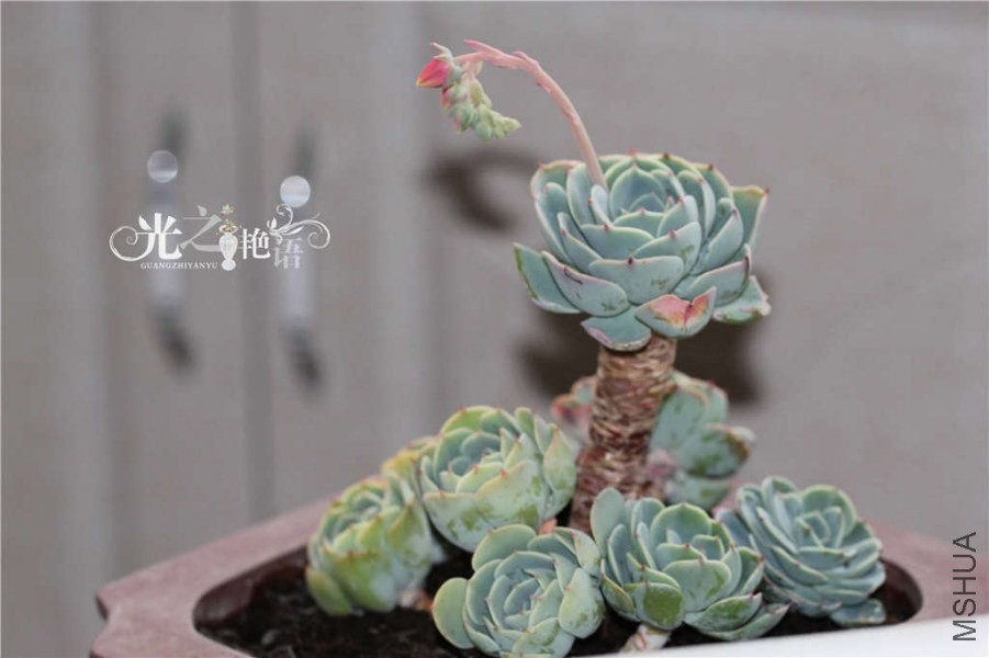 20140428 (41).JPG