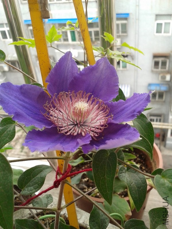 2014-05-16 16.46.37_����.jpg