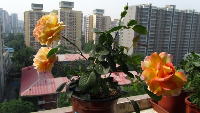 ����20140517 003.jpg