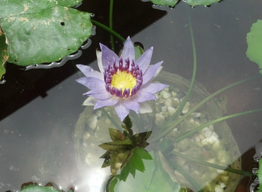 QQͼƬ20140517104805.jpg