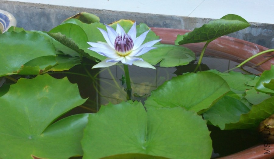 QQͼƬ20140517104819.jpg