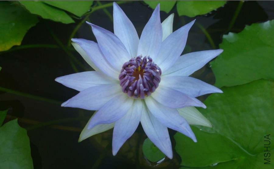 QQͼƬ20140517104827.jpg