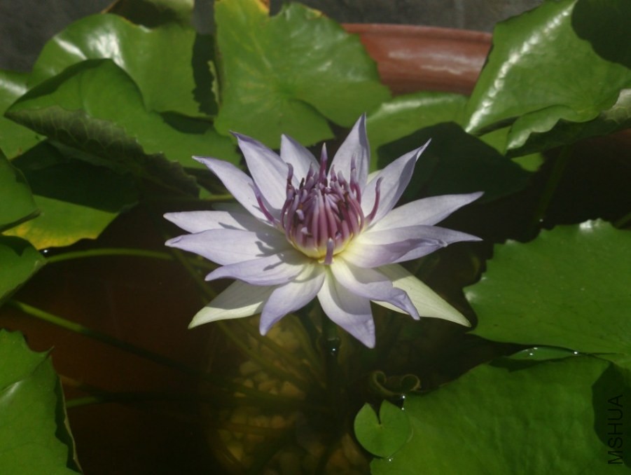 QQͼƬ20140517104841.jpg