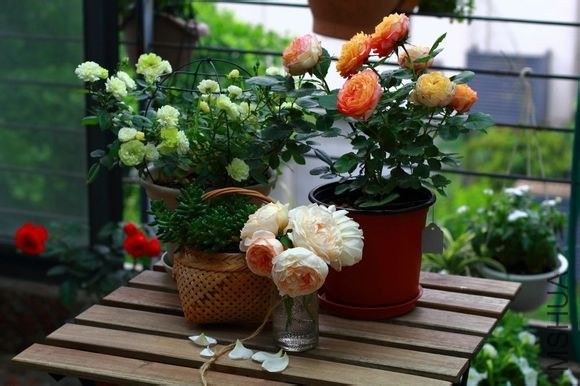 738da9773912b31bf5213bd98418367adbb4e1f5.jpg