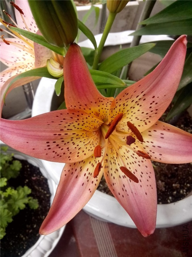 ��Ƭ_20140517_122734.jpg
