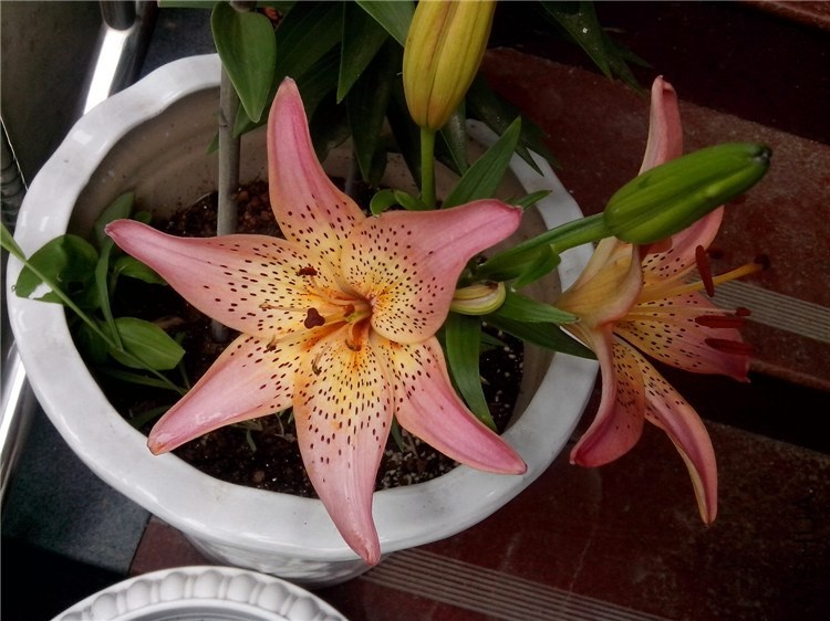 ��Ƭ_20140517_122720.jpg