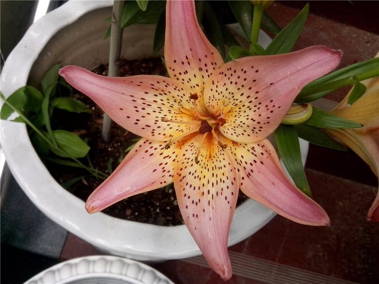 ��Ƭ_20140517_122728.jpg