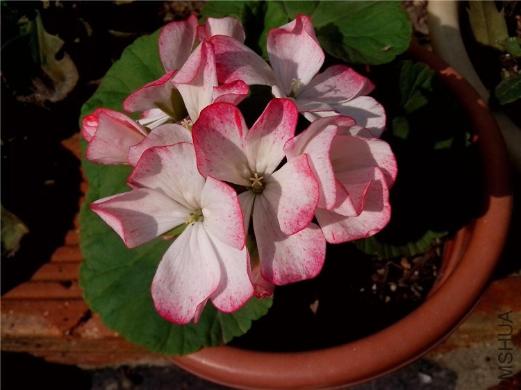 ��Ƭ_20140321_142533.jpg