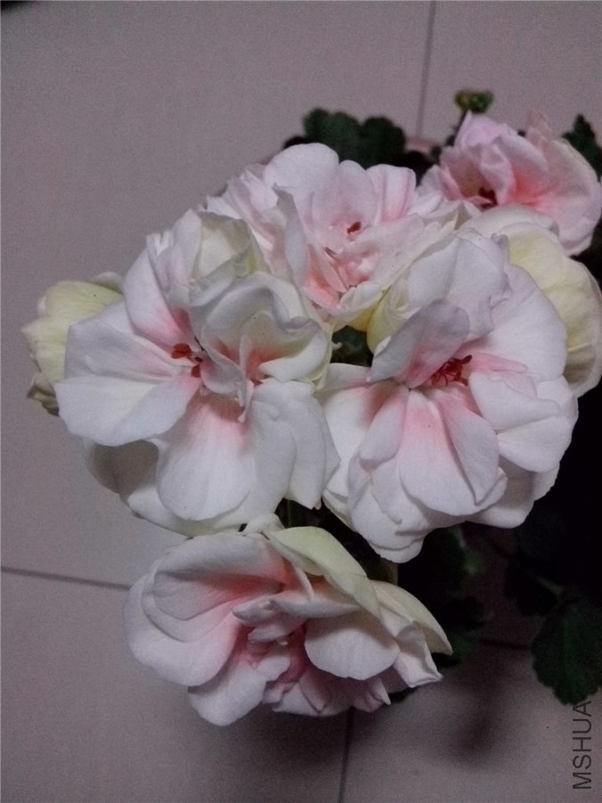 ��Ƭ_20140426_185340.jpg