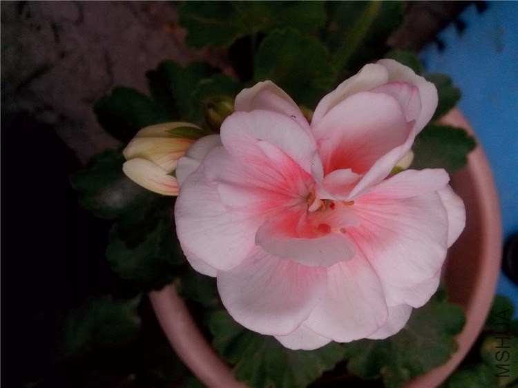 ��Ƭ_20140405_175145.jpg