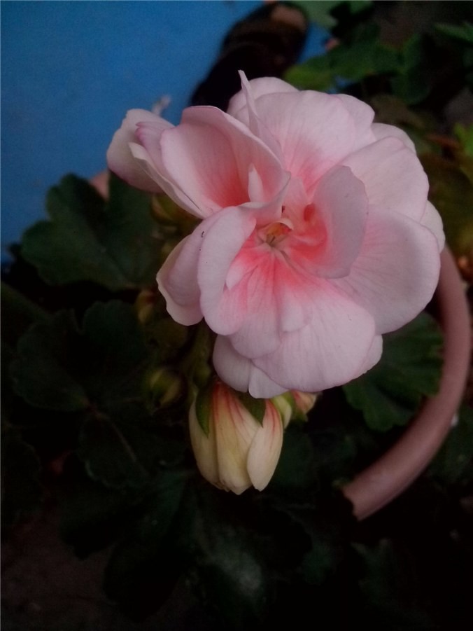 ��Ƭ_20140405_175156.jpg