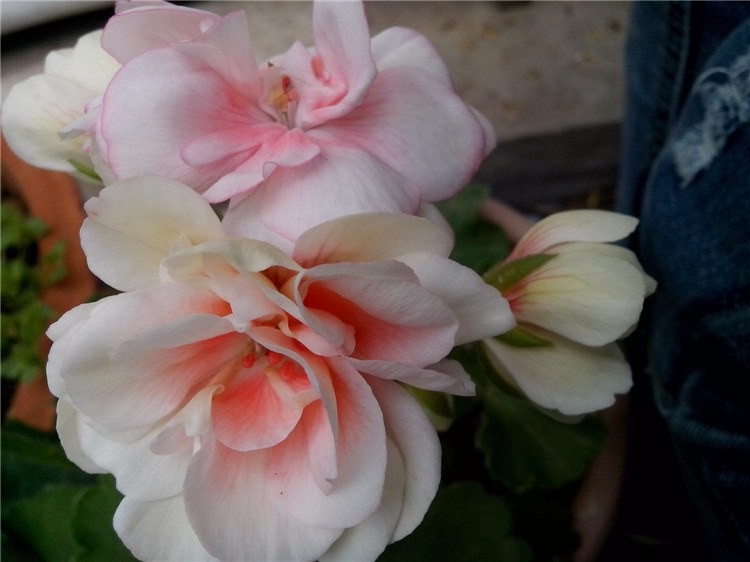 ��Ƭ_20140408_092115.jpg