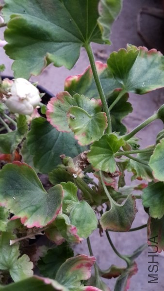 20140517_171948_����.jpg