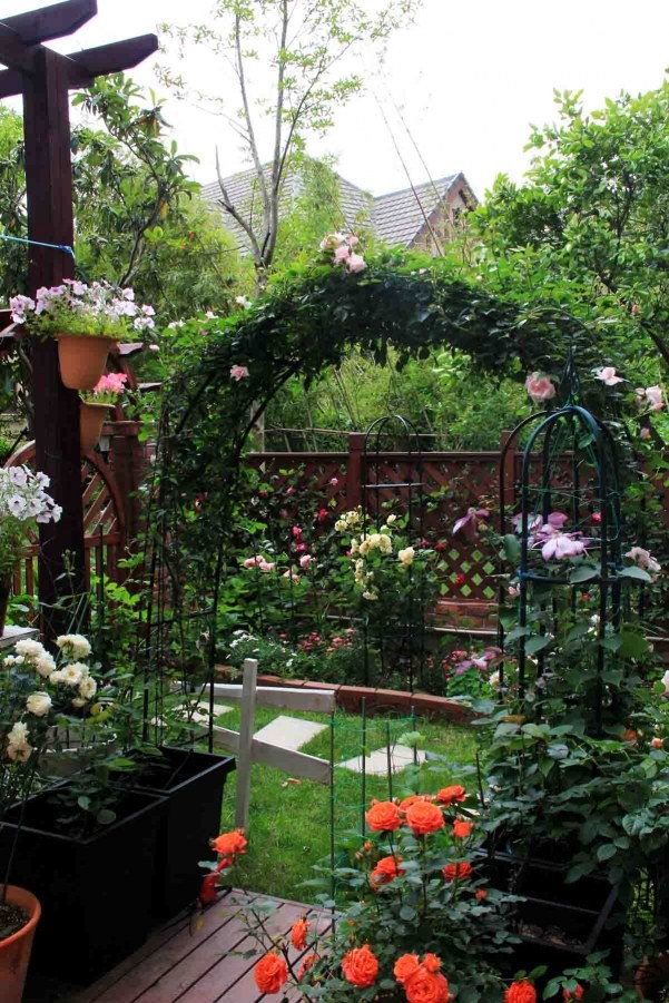 ���ƻ���