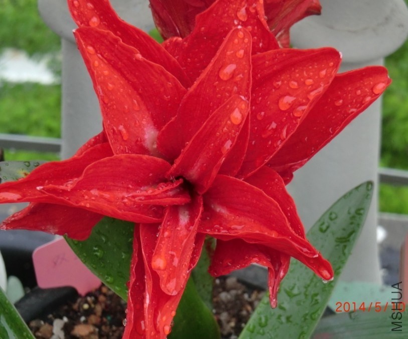 QQͼƬ20140510131420.jpg