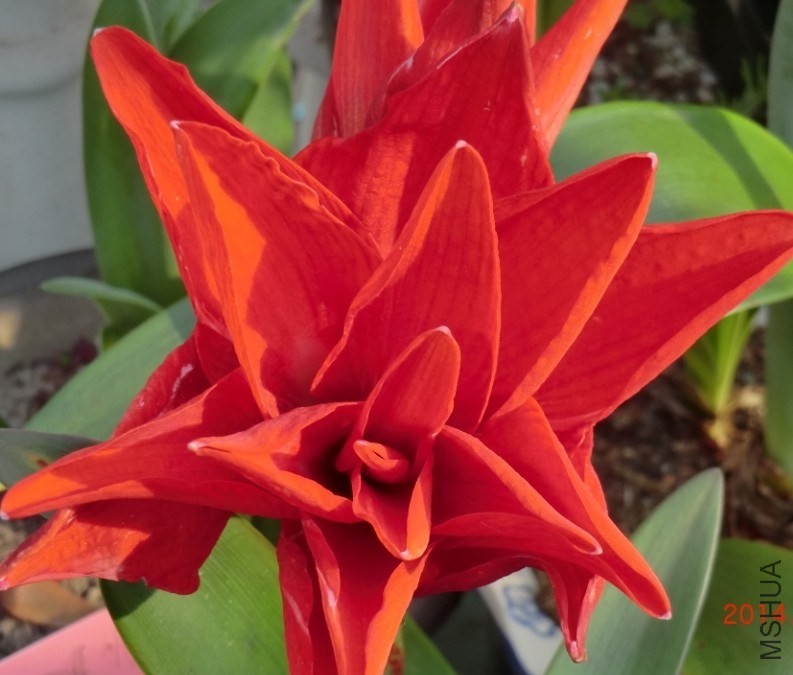 QQͼƬ20140510114918.jpg