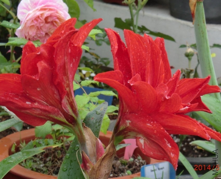 QQͼƬ20140510131727.jpg