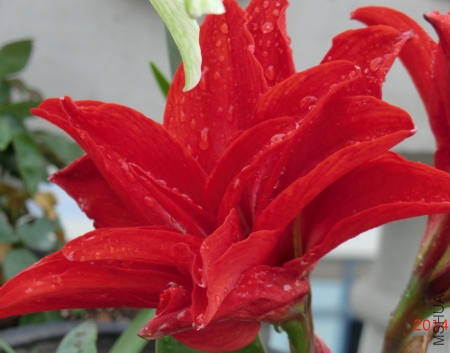 QQͼƬ20140510131755.jpg