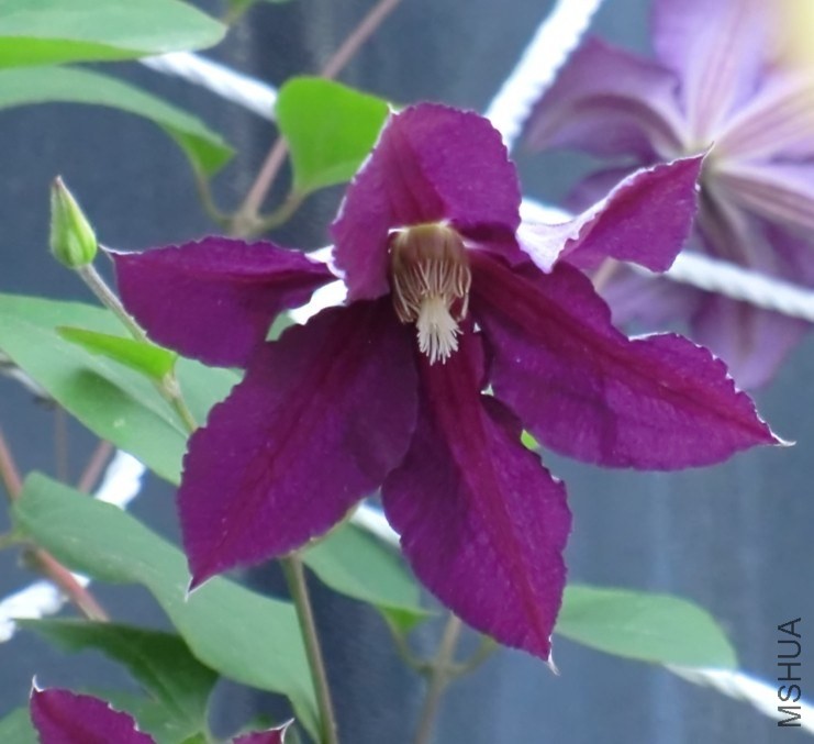 QQͼƬ20140508193353.jpg