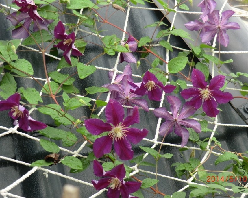 QQͼƬ20140510132813.jpg