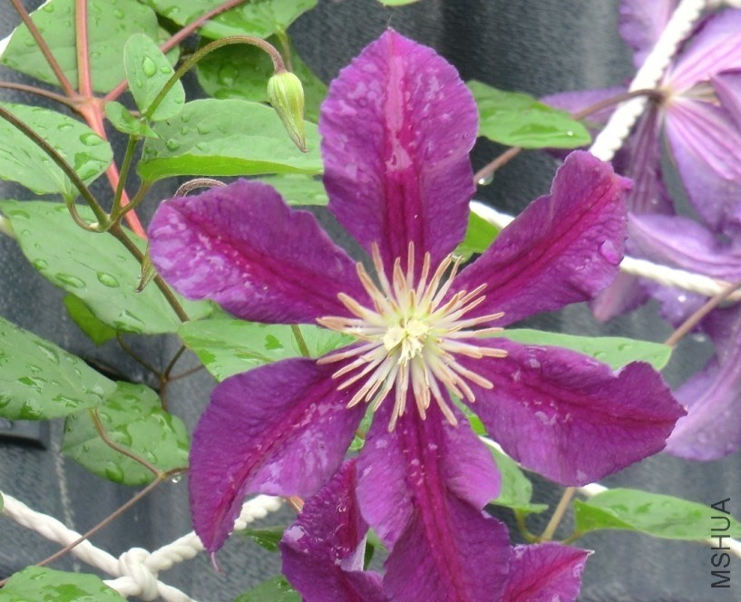 QQͼƬ20140511112012.jpg