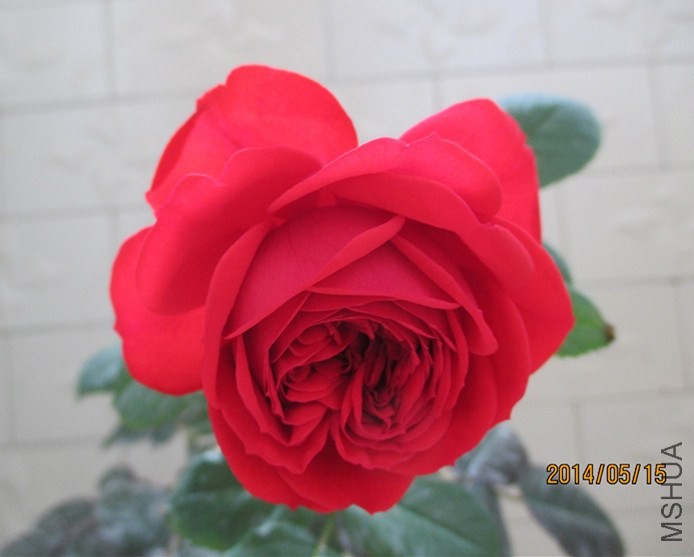 IMG_4479_����.jpg