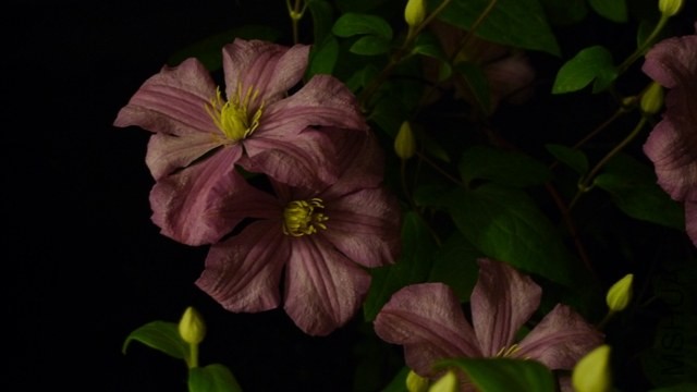 P1250987.JPG