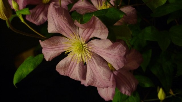 P1260002.JPG