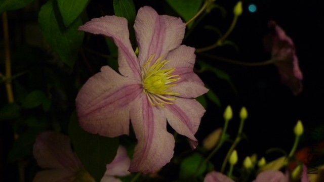 P1260022.JPG